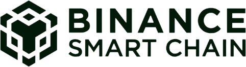 02 Binance Smart Chain (1)