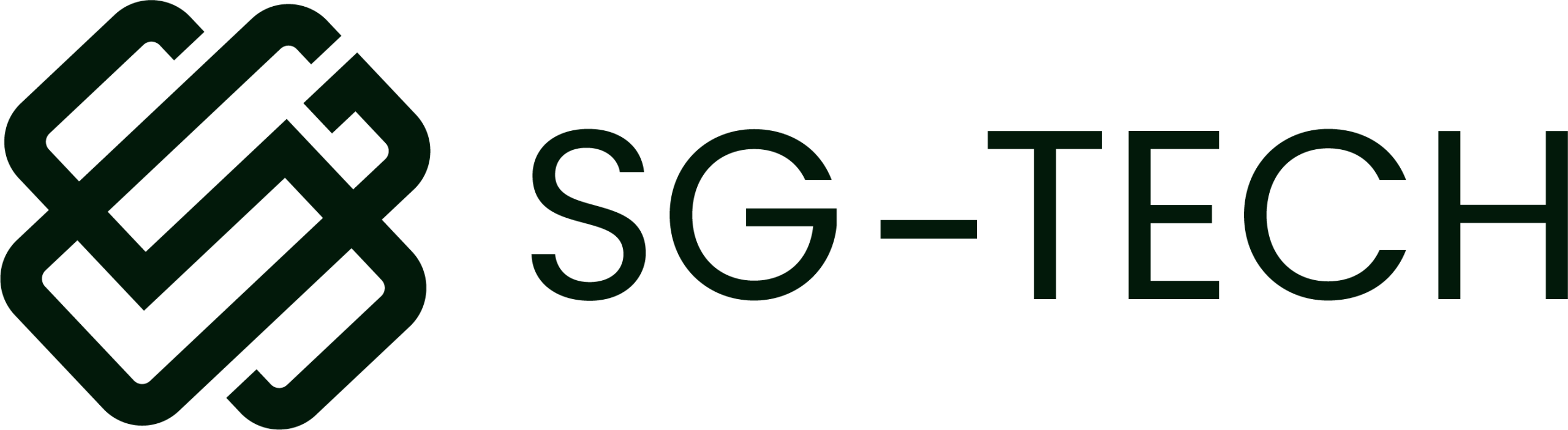 02 SG Tech (1)