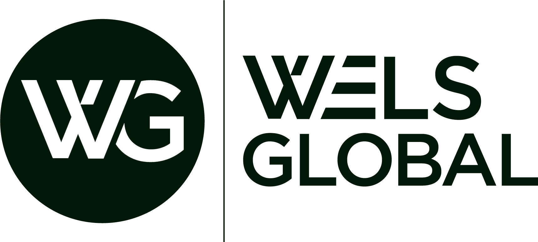 02 WelsGlobal (1)